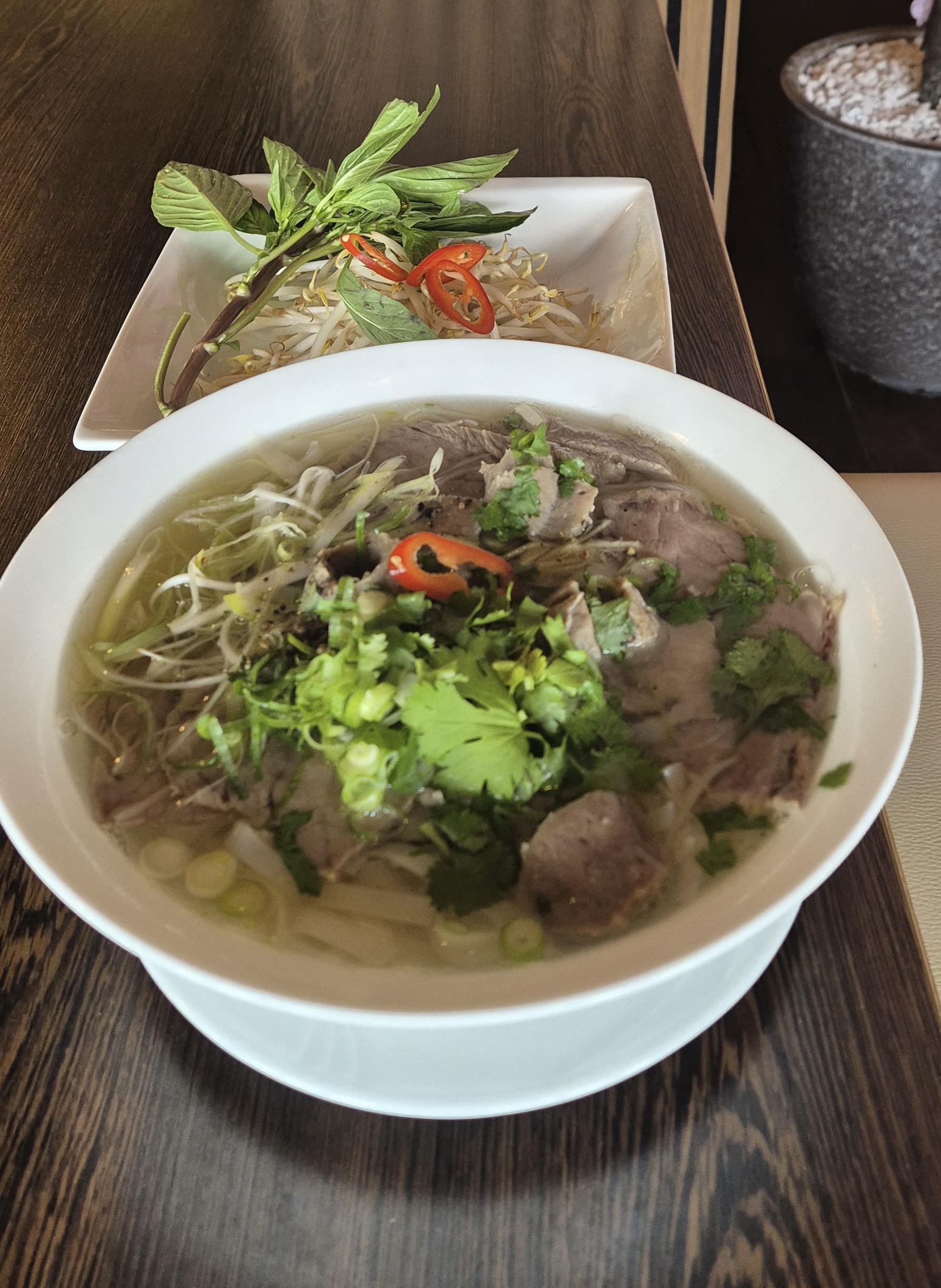 Phở Bò – aromatische Rinderbrühe mit frischen Kräutern, Reisnudeln und zarten Fleischscheiben, serviert im weißen Porzellanbowl